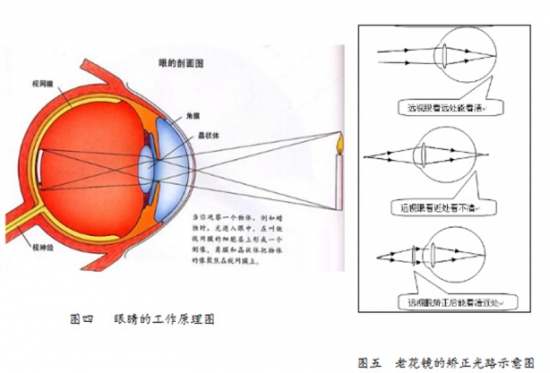 美麗島眼鏡：老花鏡不可隨意亂帶，需要在專業(yè)驗(yàn)光后科學(xué)配制