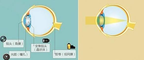 怎么佩戴老花鏡？驗光 品牌 質(zhì)量 保養(yǎng)一個都不能少