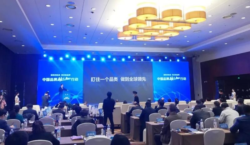 定了！美麗島進了國家隊，新華社專訪